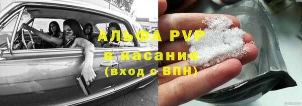 стафф Елабуга