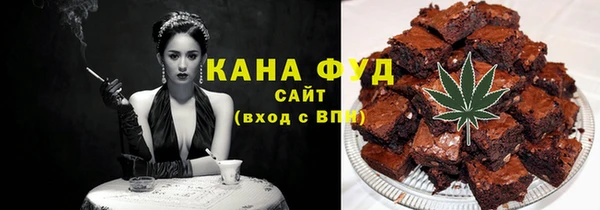 СК Ельня