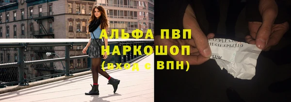 СК Ельня