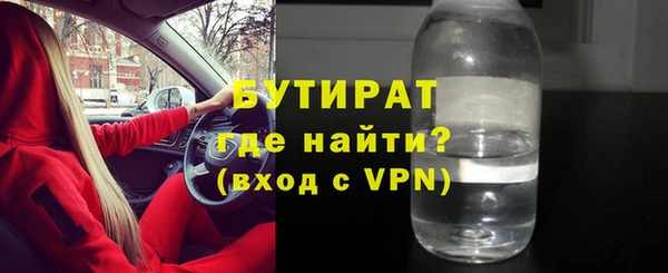 СК Ельня