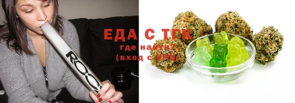 СК Ельня