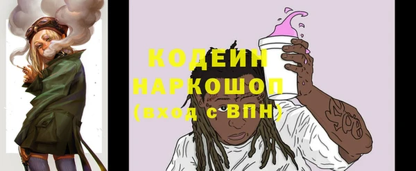 СК Ельня