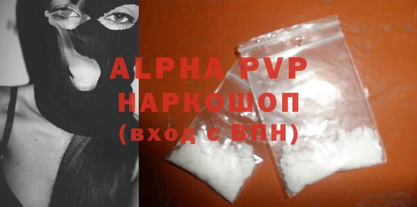 СК Ельня