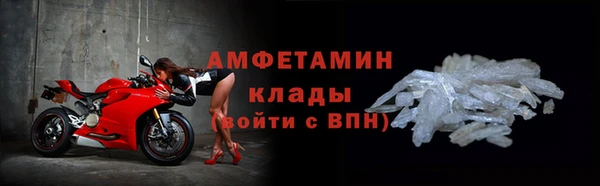 СК Ельня
