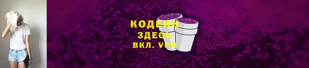 Альфа ПВП Елизово