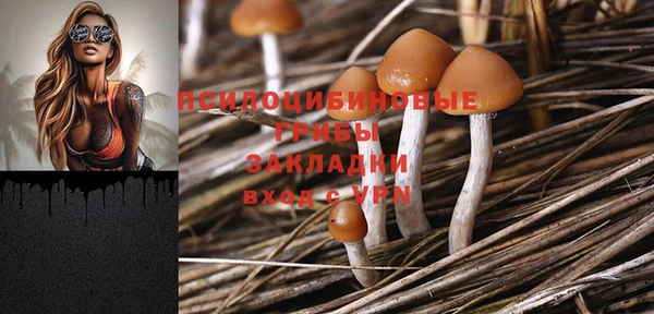 стафф Елабуга