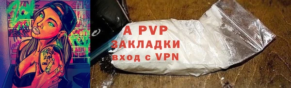 СК Ельня